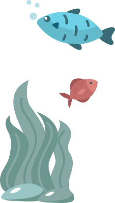 Illustration von zwei Fischen, einem blauen und einem roten, die über Seegras im Wasser schwimmen.